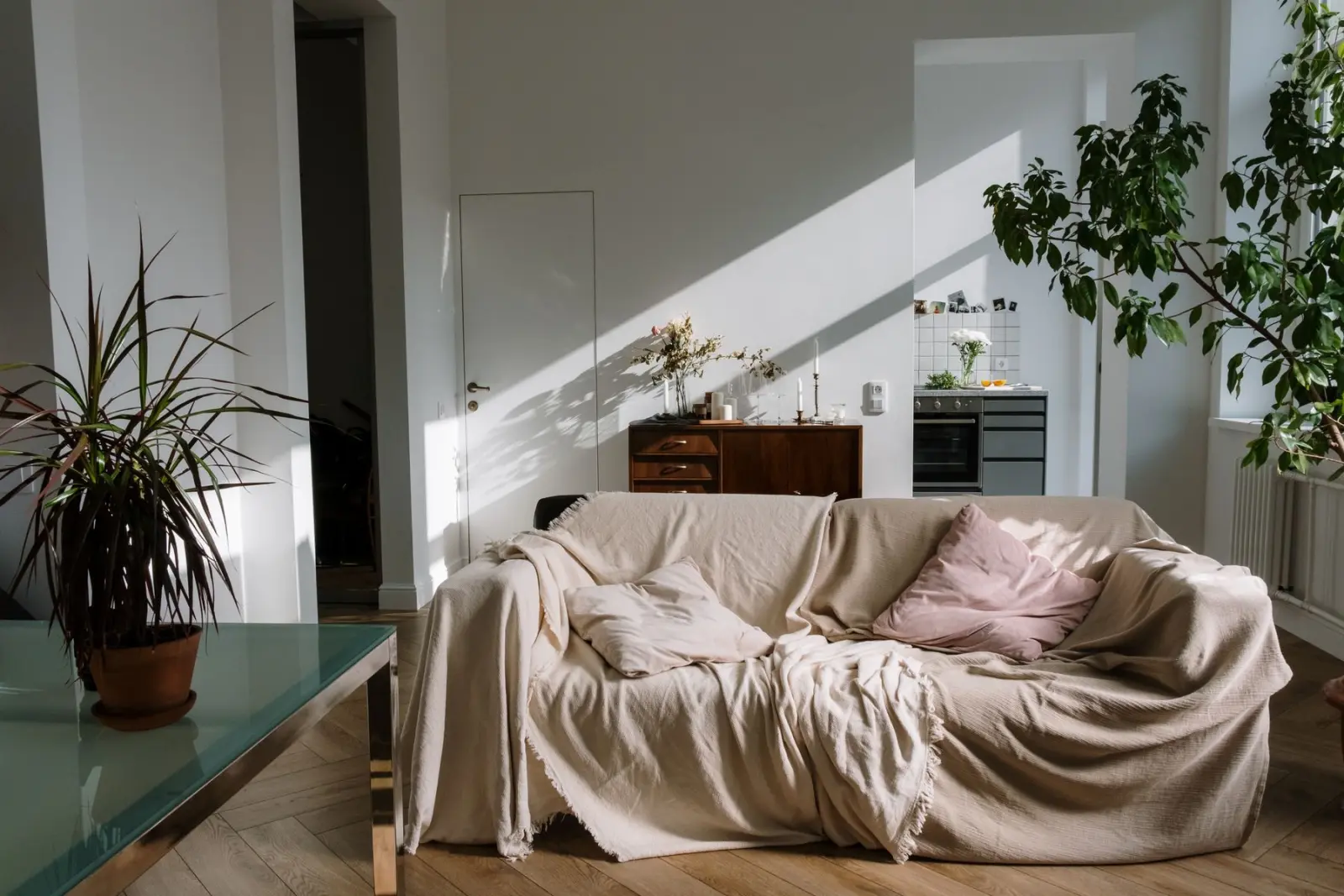 A sunlit living room with a soft beige sofa and houseplants